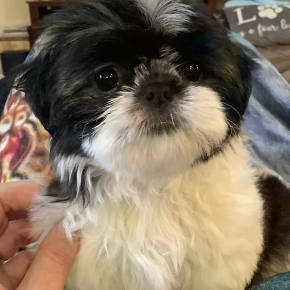 Meet your Posher, Jill - Picture 2 of 2